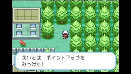 タマムシシティの画像