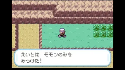 24番道路の画像