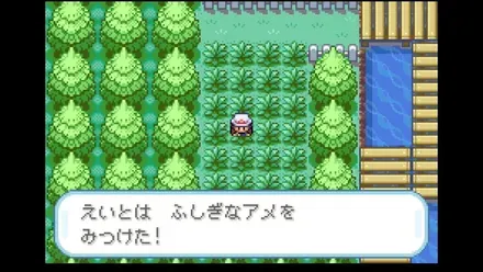 12番道路の画像