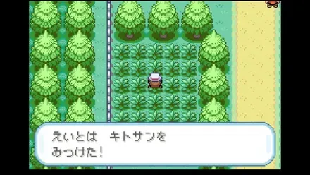 14番道路の画像