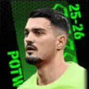 TPアリヤネト・ムリッチ(03/05)の画像