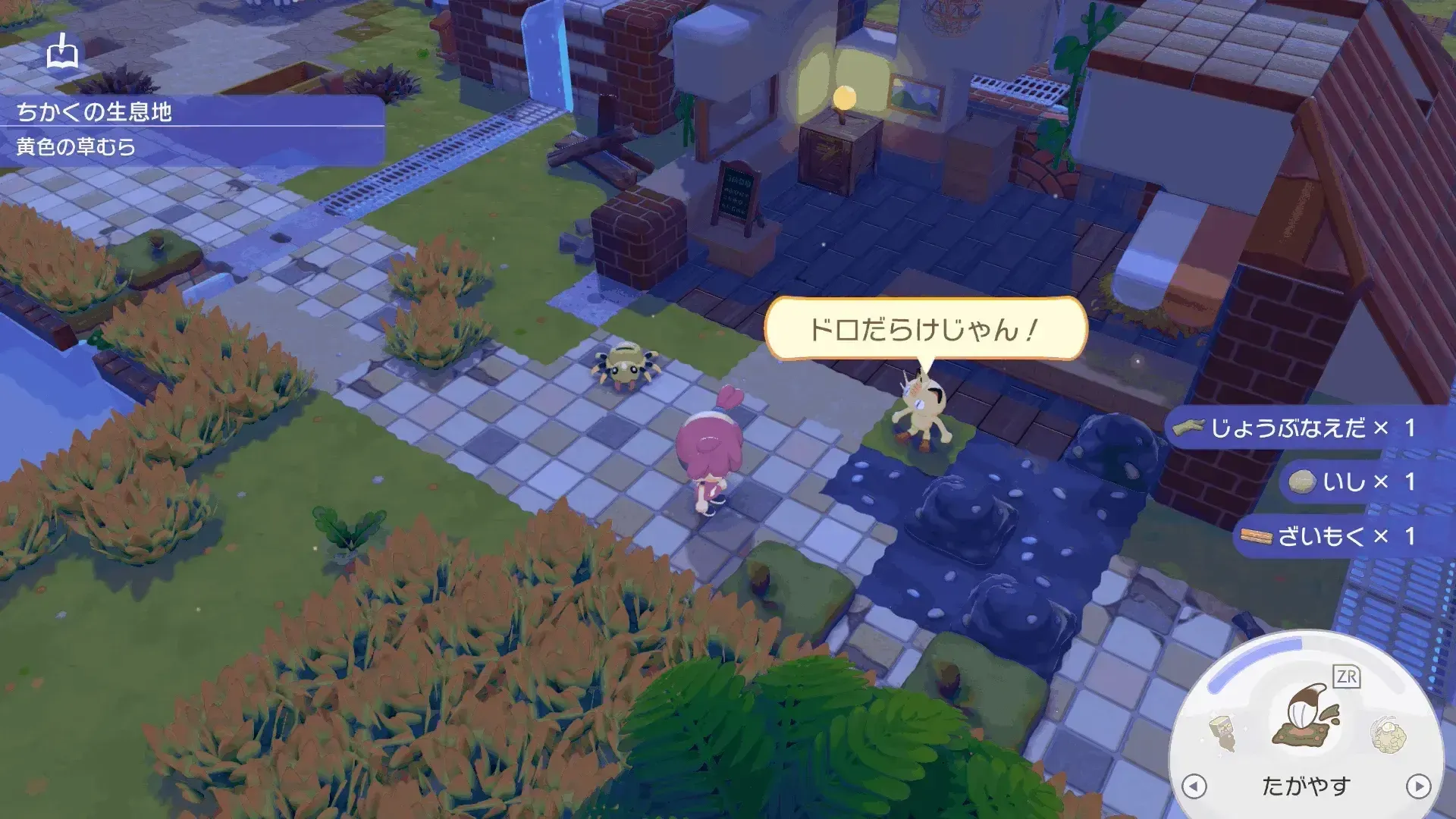 ニャースのお願い