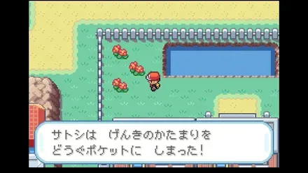 セキチクシティの画像