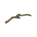 ツバサのカセキ・さよく