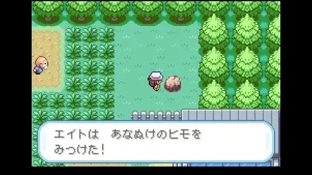 11番道路の画像