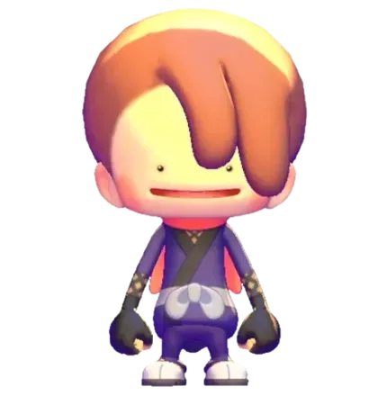 ニンジャコーデの画像