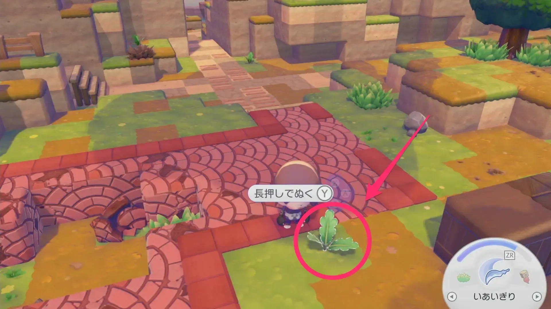 フィールドではっぱを引っこ抜く