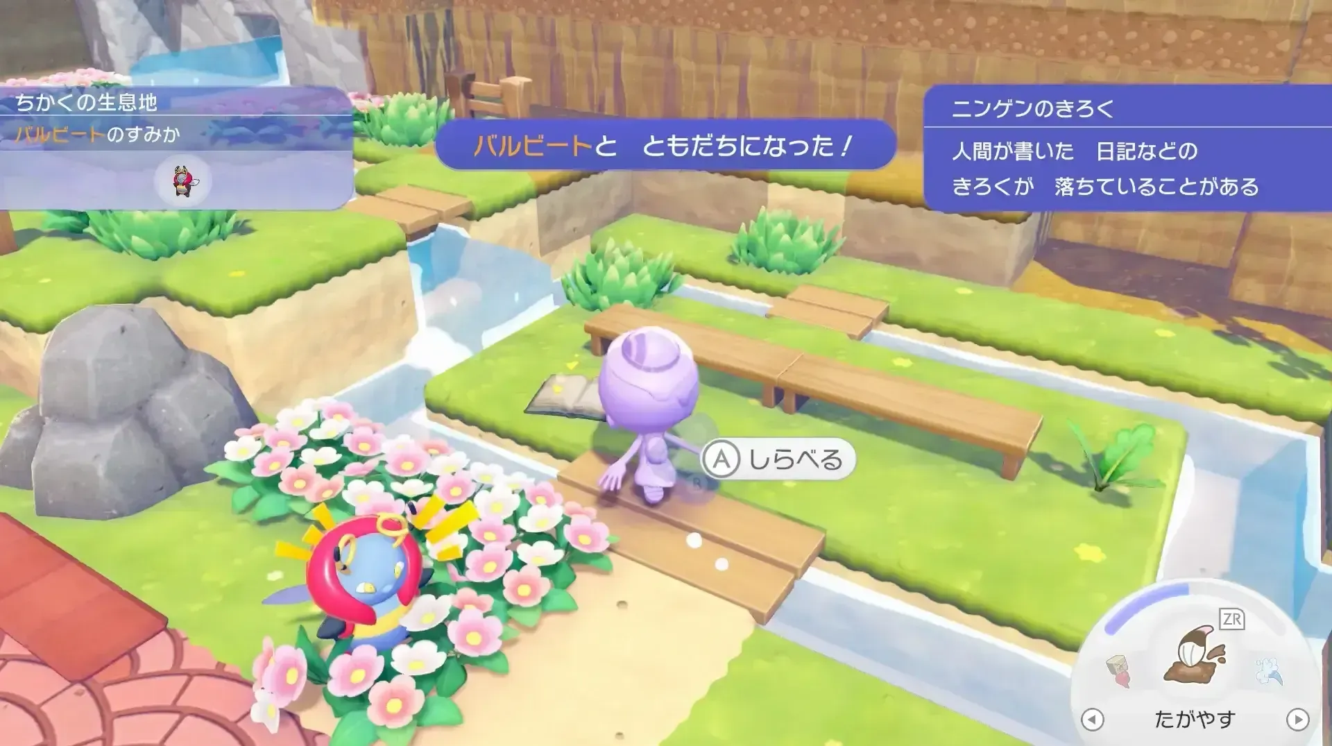 ニンゲンのきろくを集める