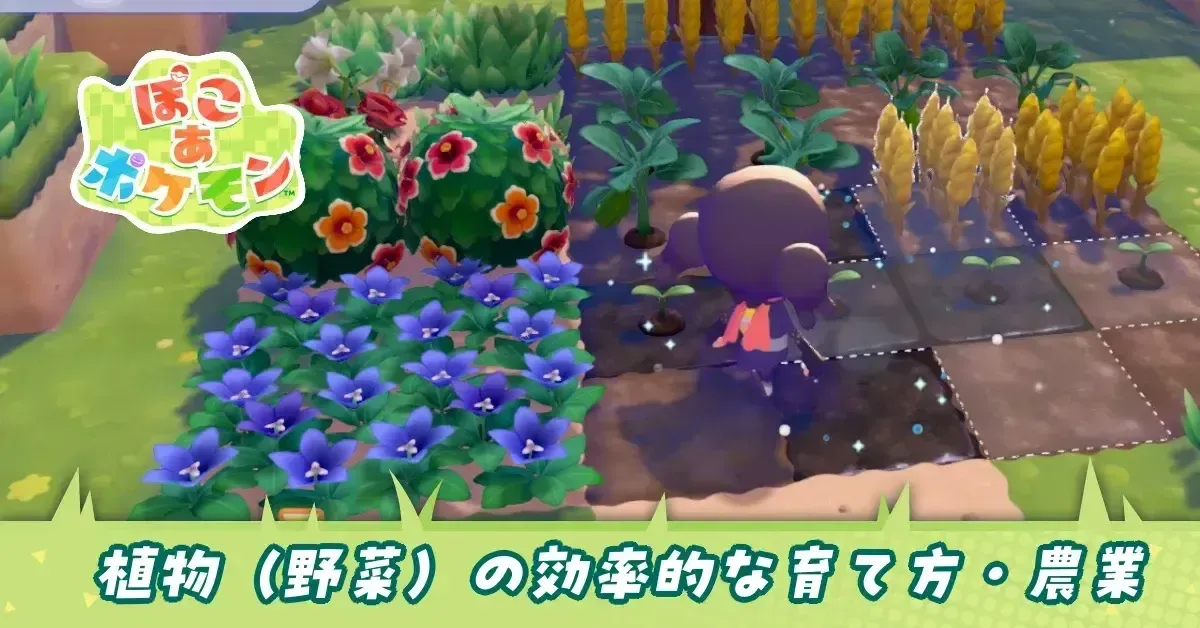 アイキャッチ植物農業