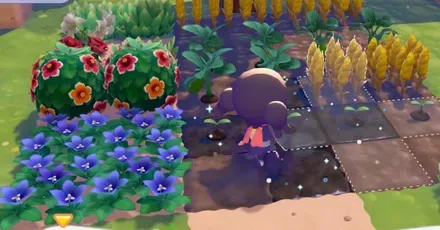 パーシャル植物農業