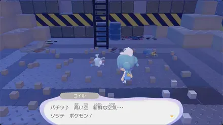 コイルと友達になる