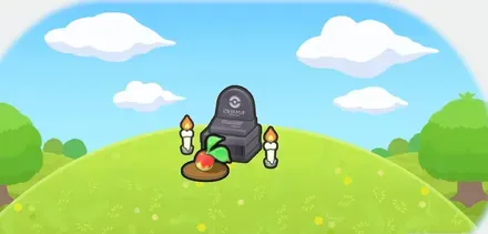 お墓にお供えもの画像