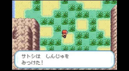 たからのはまの画像