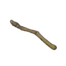 ツバサのカセキ・うよく