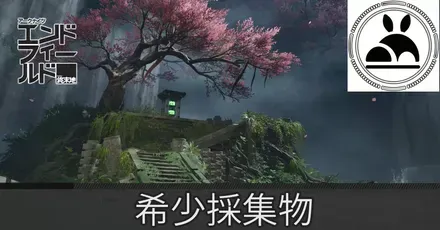 景玉谷希少採集物