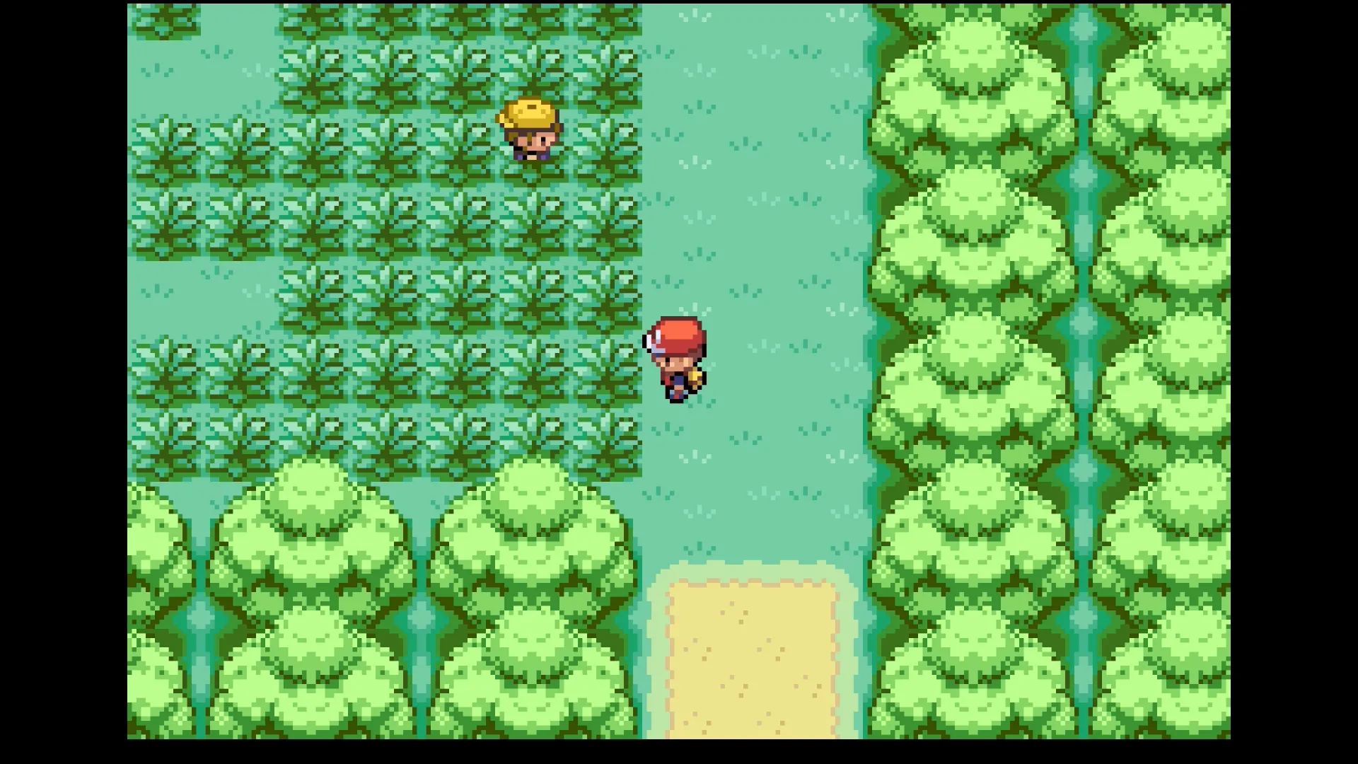 しるしのはやし