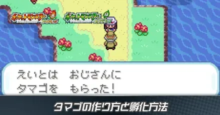 タマゴの作り方と孵化方法