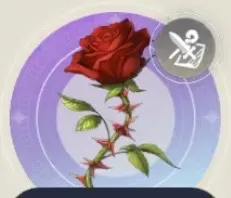 スピーナローザの画像