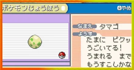 タマゴグループ