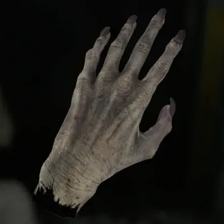 ちぎれた手画像