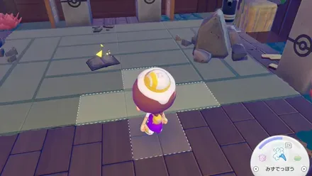 週刊からておう第48号の見た目画像