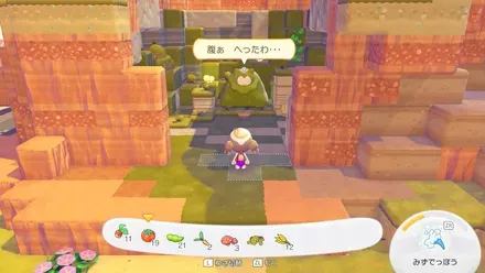 こけカビゴンの場所見た目