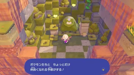 こけカビゴンへのお供物