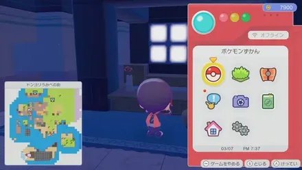 いちりんざし画像