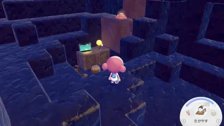 フシギなもようの見た目画像