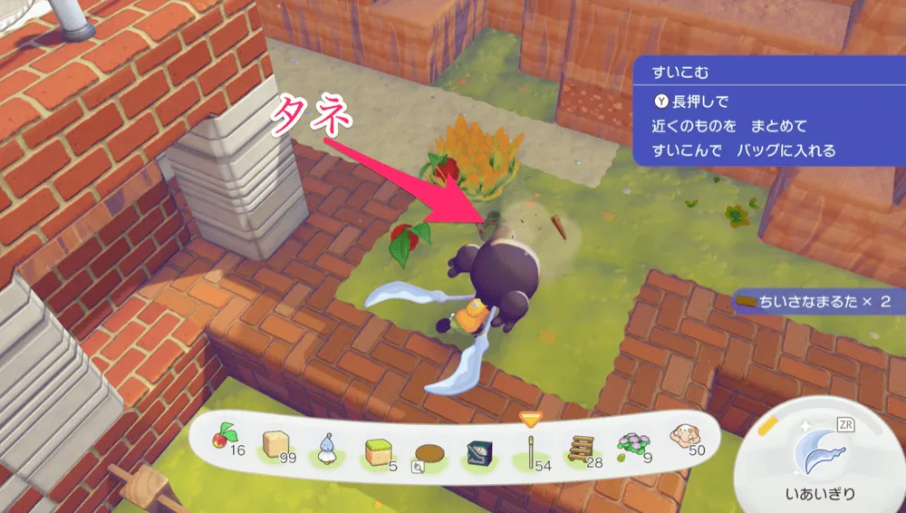 切り株からタネ