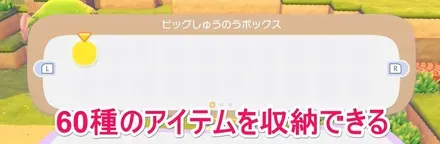 ビッグ収納ボックス