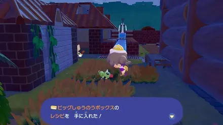 ビッグ収納ボックスのレシピ