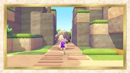 だいりせきの見た目