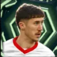 HPトレイヒューム(03/09)画像