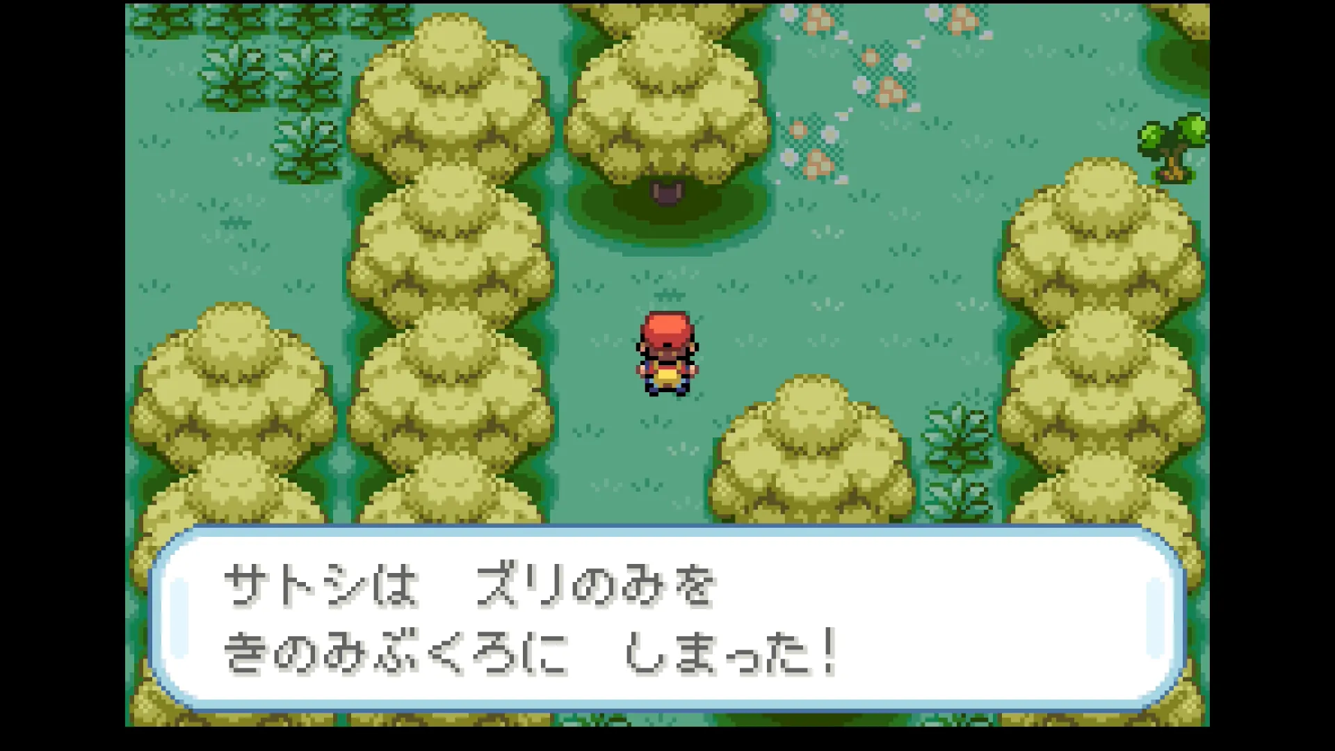 きのみを見つける