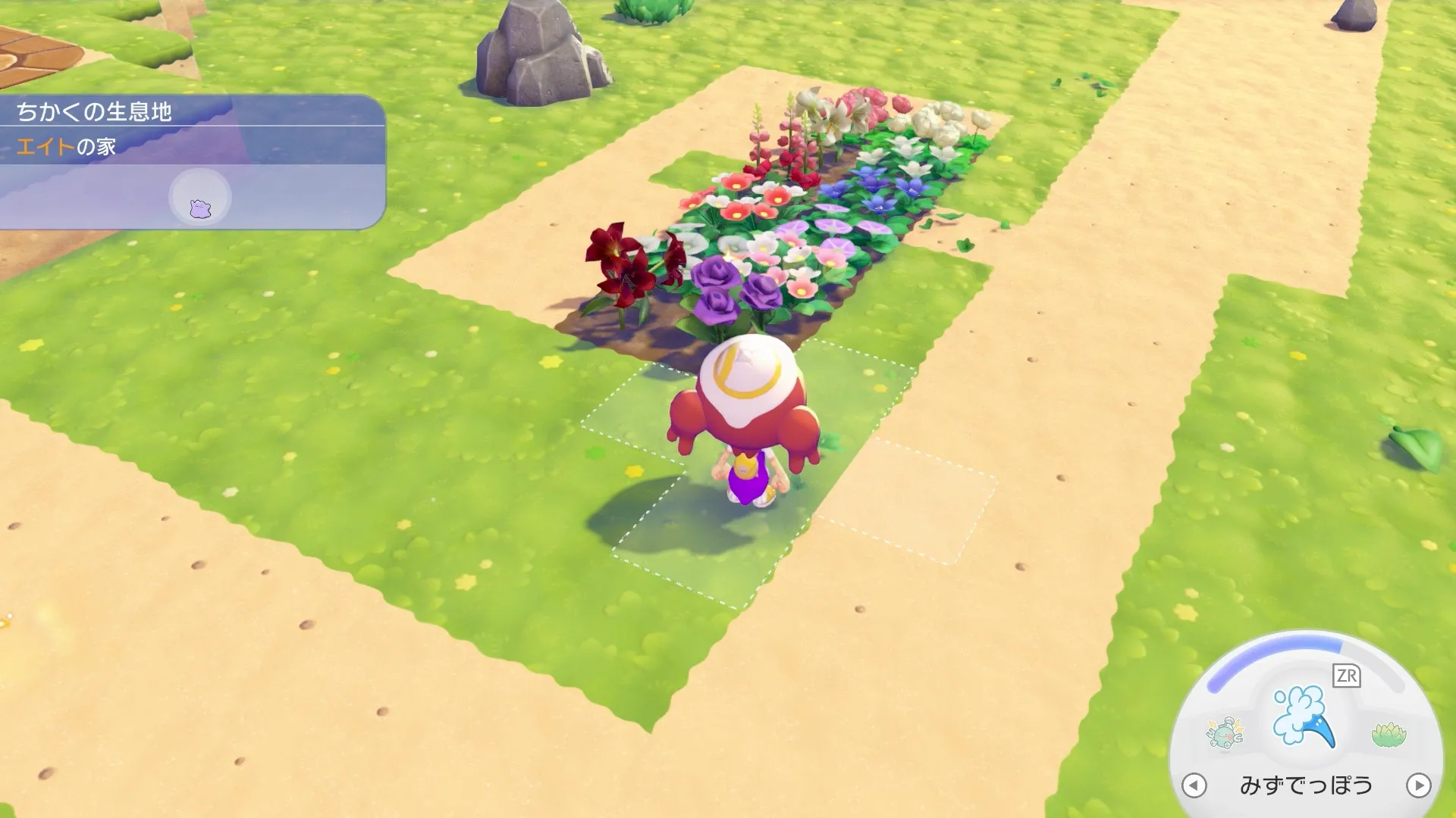 花をタネから育てる