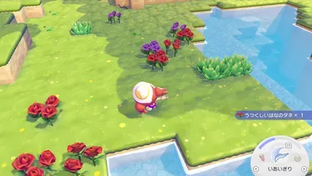 イーブイ人形のゆめしま