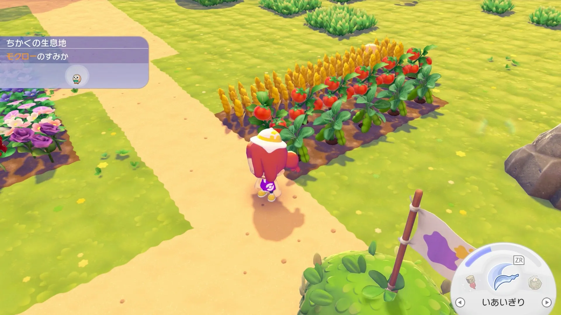 17個以上植えて育てる