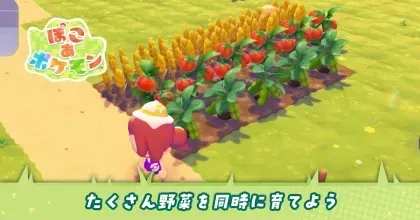 たくさん野菜を同時に育てよう