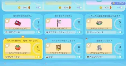 スペシャルチャレンジ