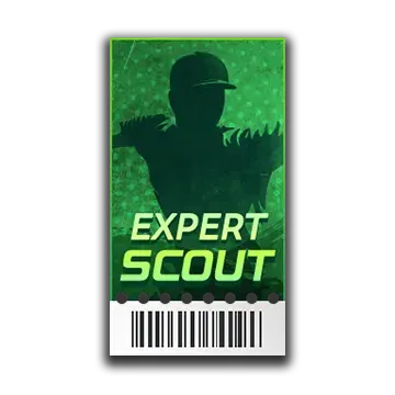 エキスパートスカウトチケット画像