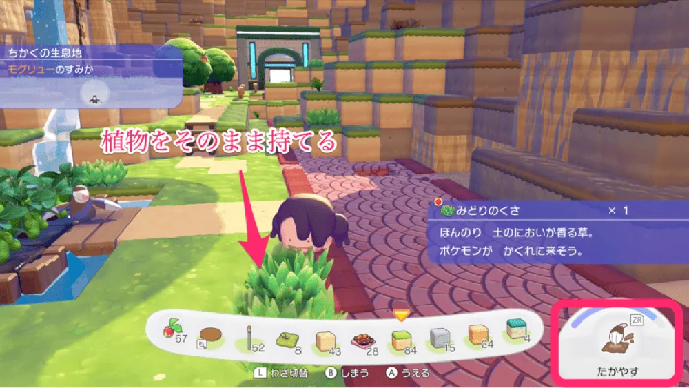 たがやすで植物持つ