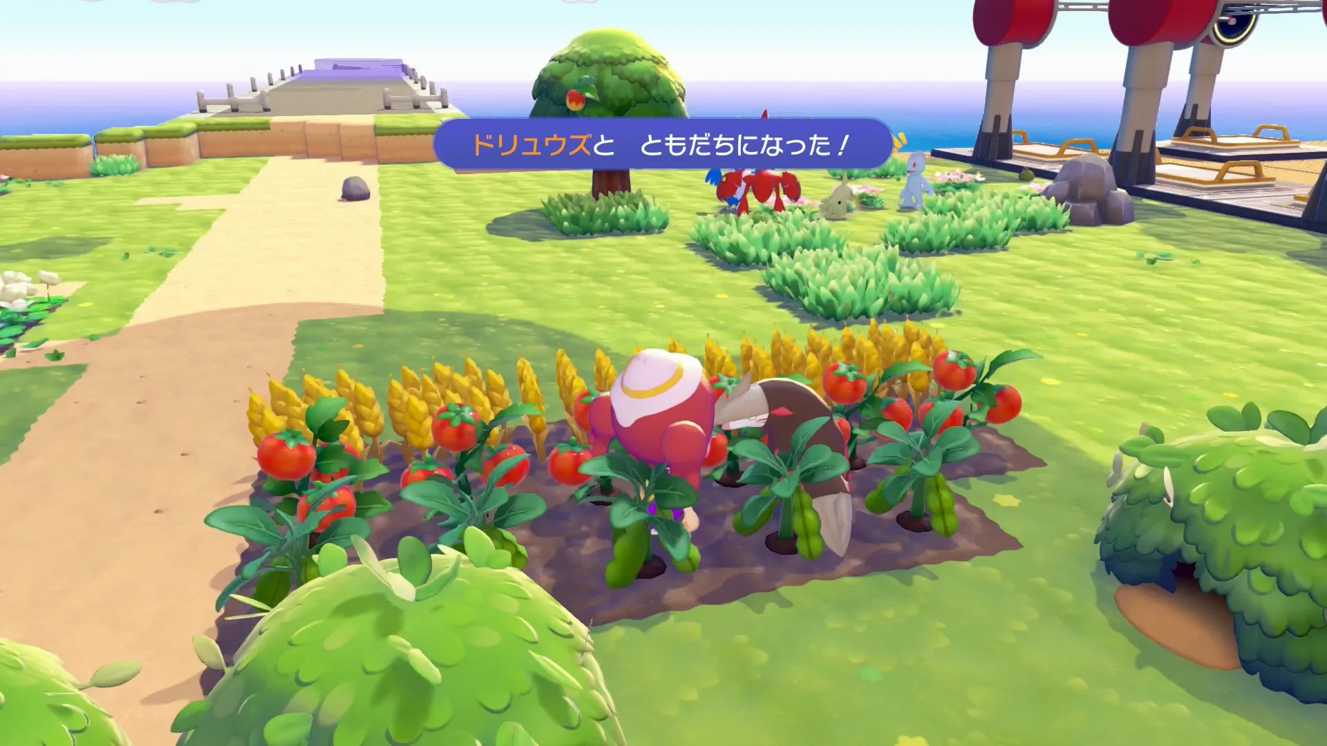 生息地を作ってポケモンと出会う