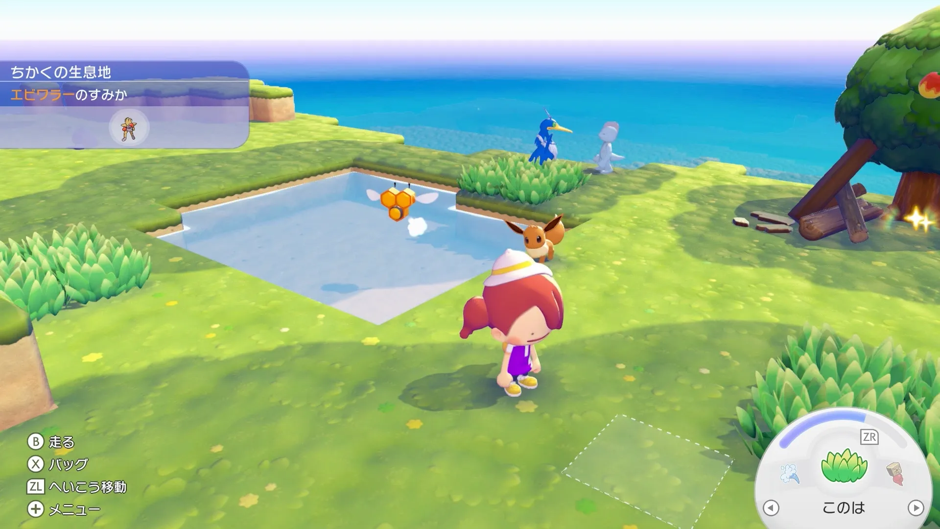 10匹住まわせる