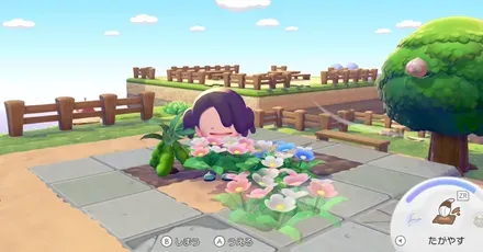 パーシャル移植