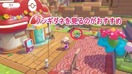 フシギダネを見るのがおすすめ