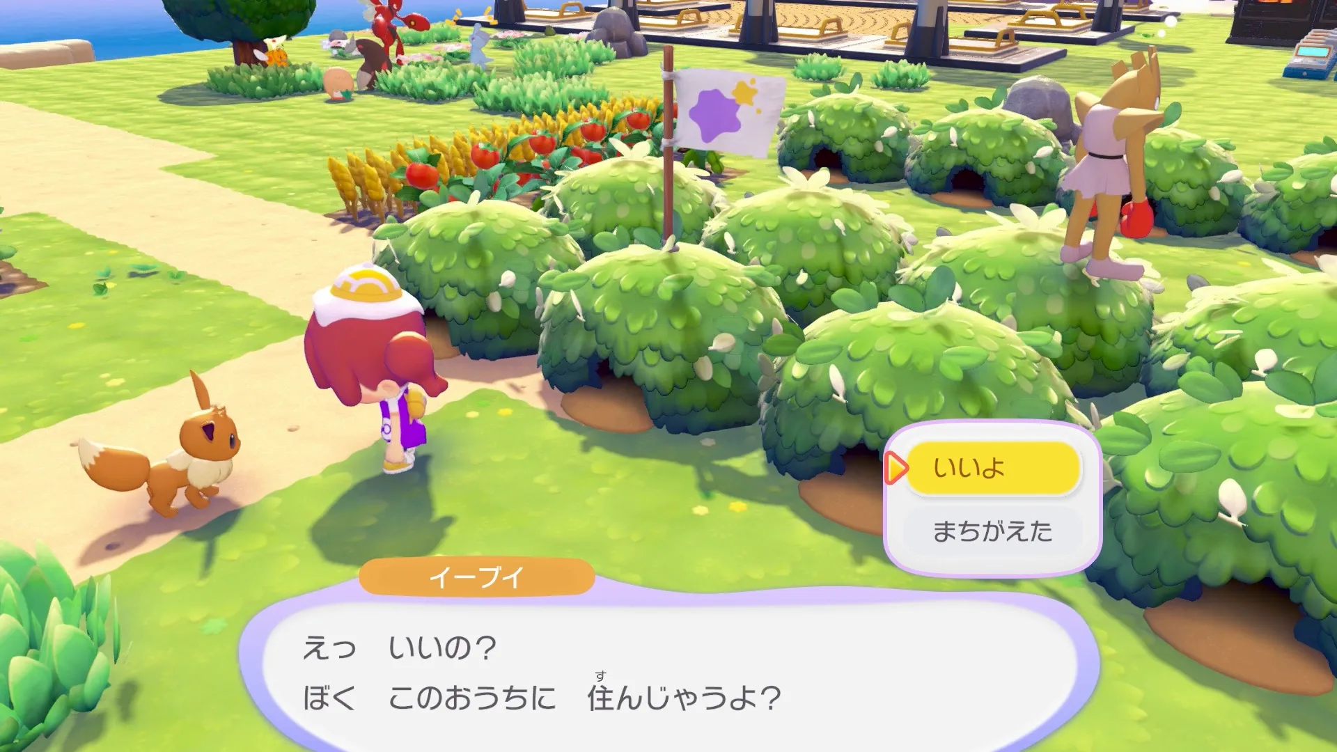 ポケモンを住まわせる