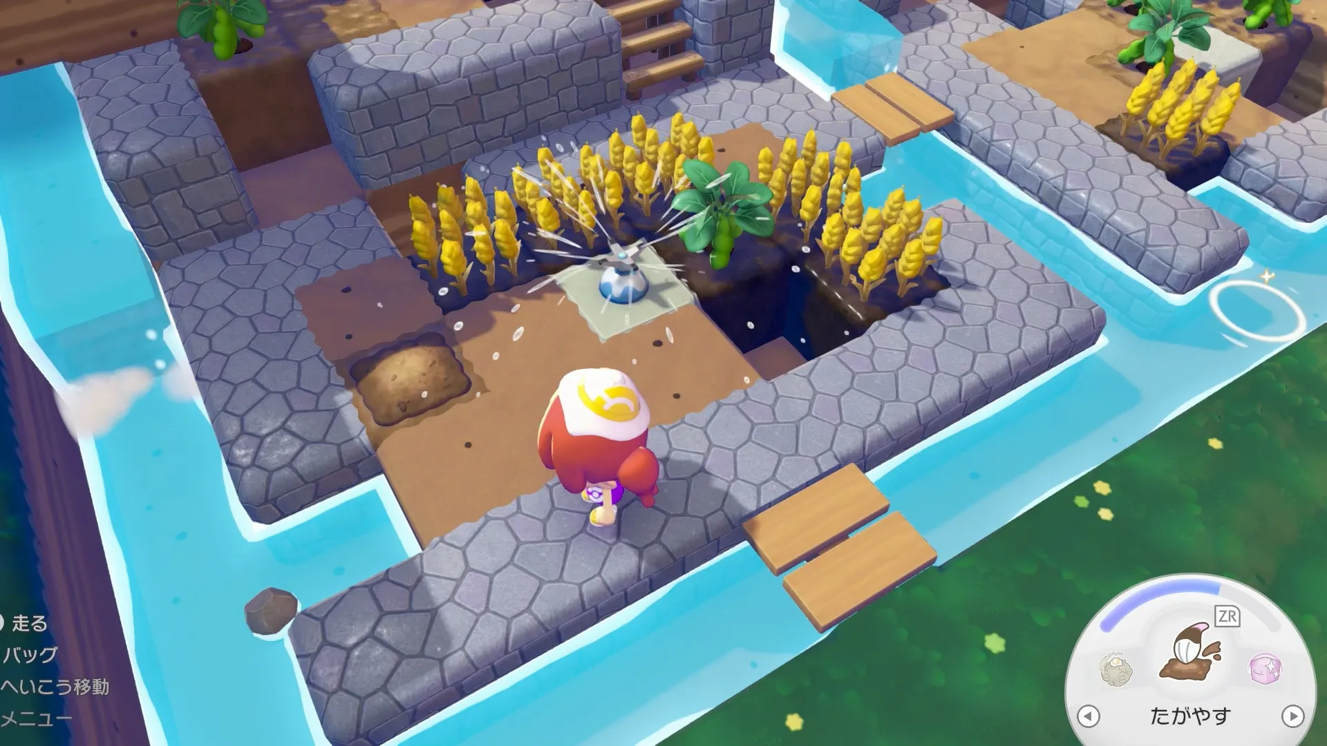 畑に水をあげる