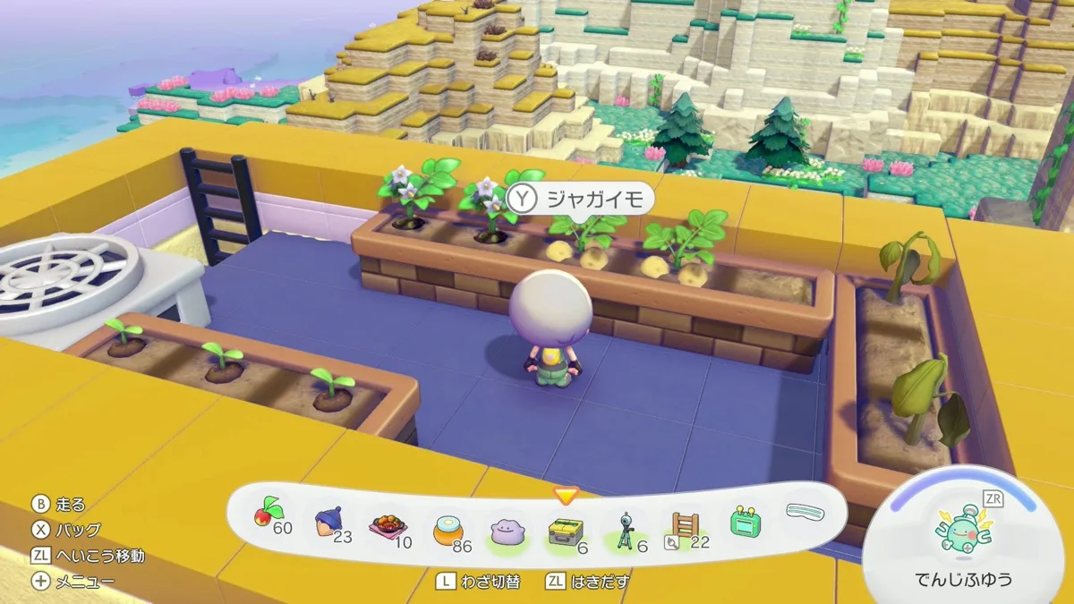 そらのゆめしまのジャガイモ