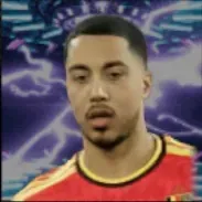 HPユーリ・ティーレマンス(03/12)画像